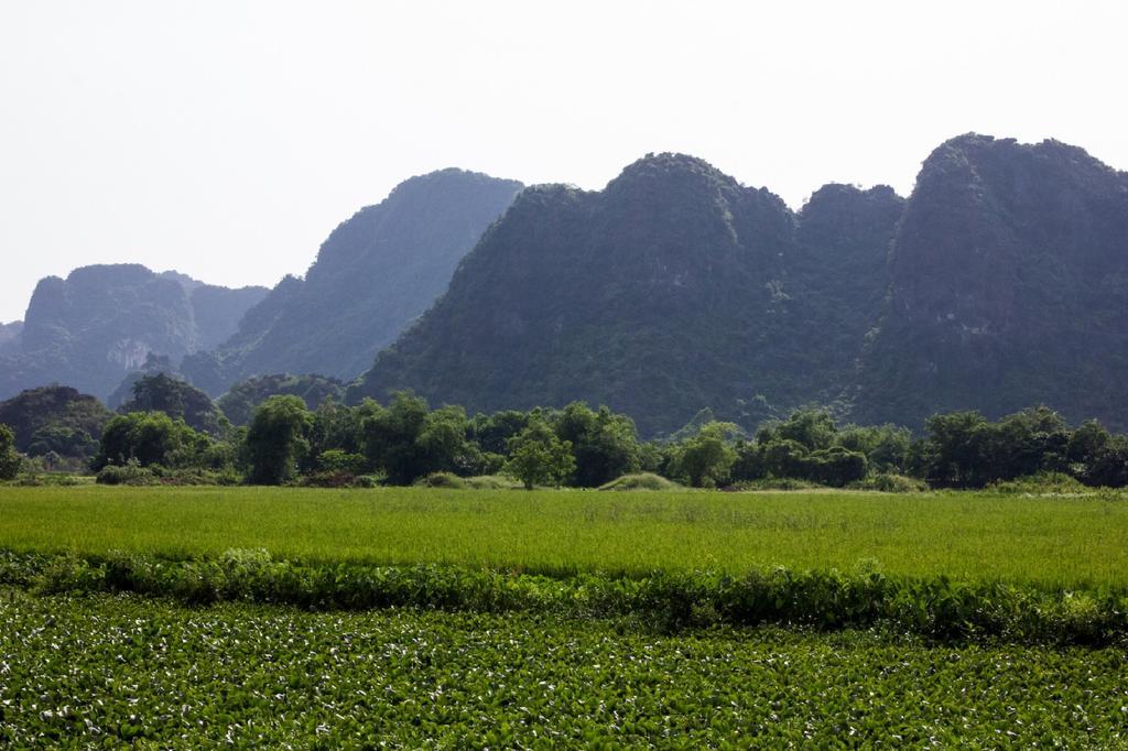 Hoalu Backpacker Homestay Ninh Binh Exteriér fotografie